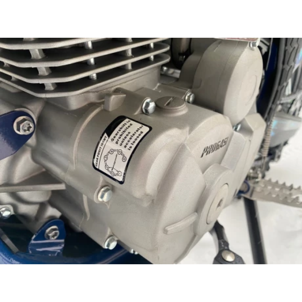 Мотоцикл кроссовый эндуро PROGASI Race 300 ENDURO