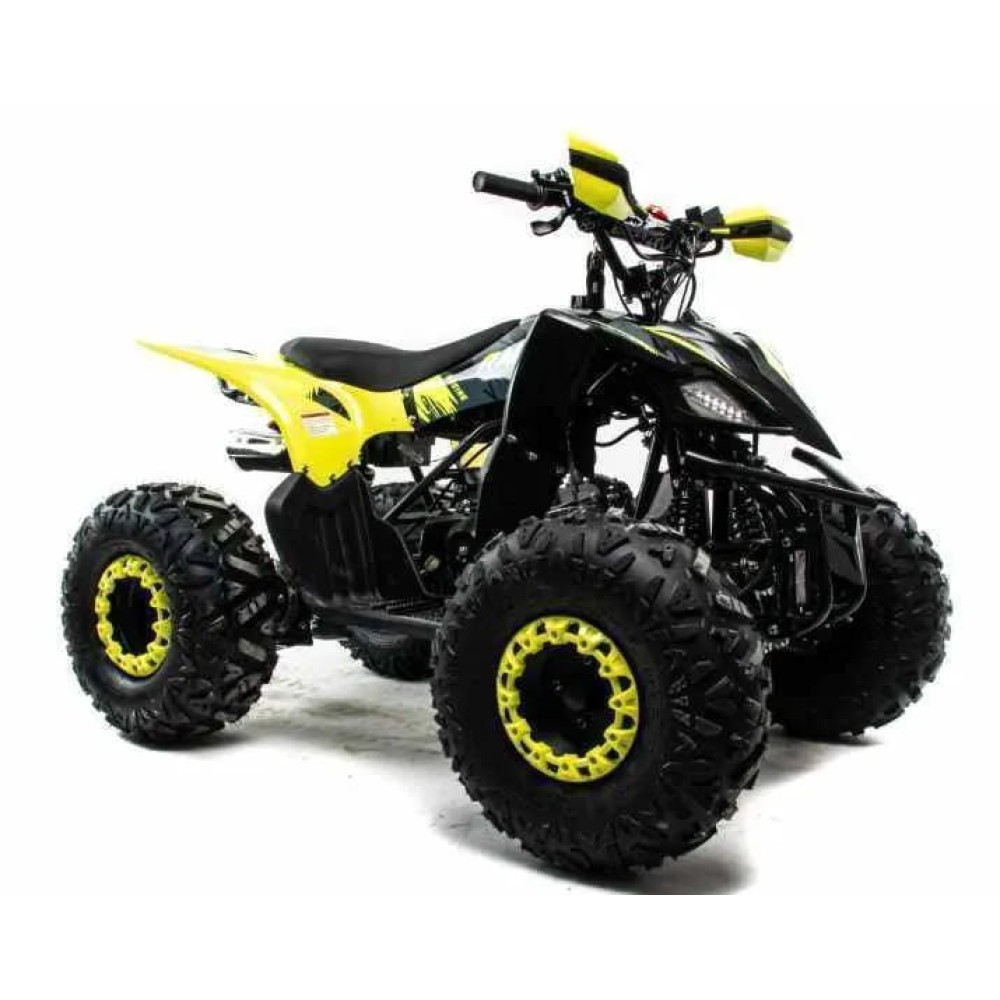 Квадроцикл MOTOLAND 125 RAPTOR