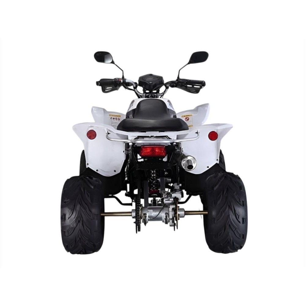 Квадроцикл RATO RТ250SТ-2