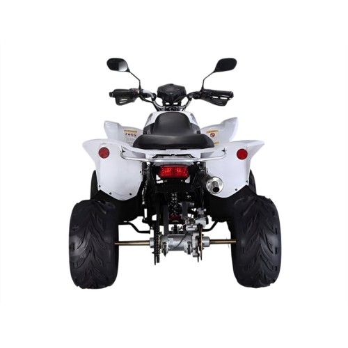 Квадроцикл RATO RТ250SТ-2