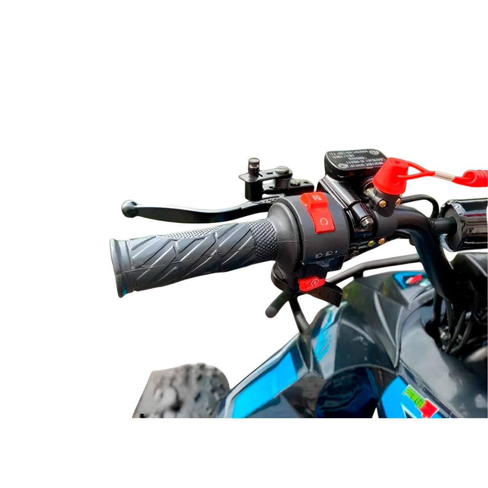 Квадроцикл MOTORHEAD Devil