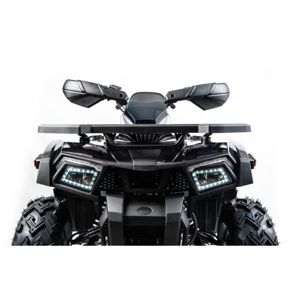 Квадроцикл MOTOLAND 200 Wild Track X Pro (2022)