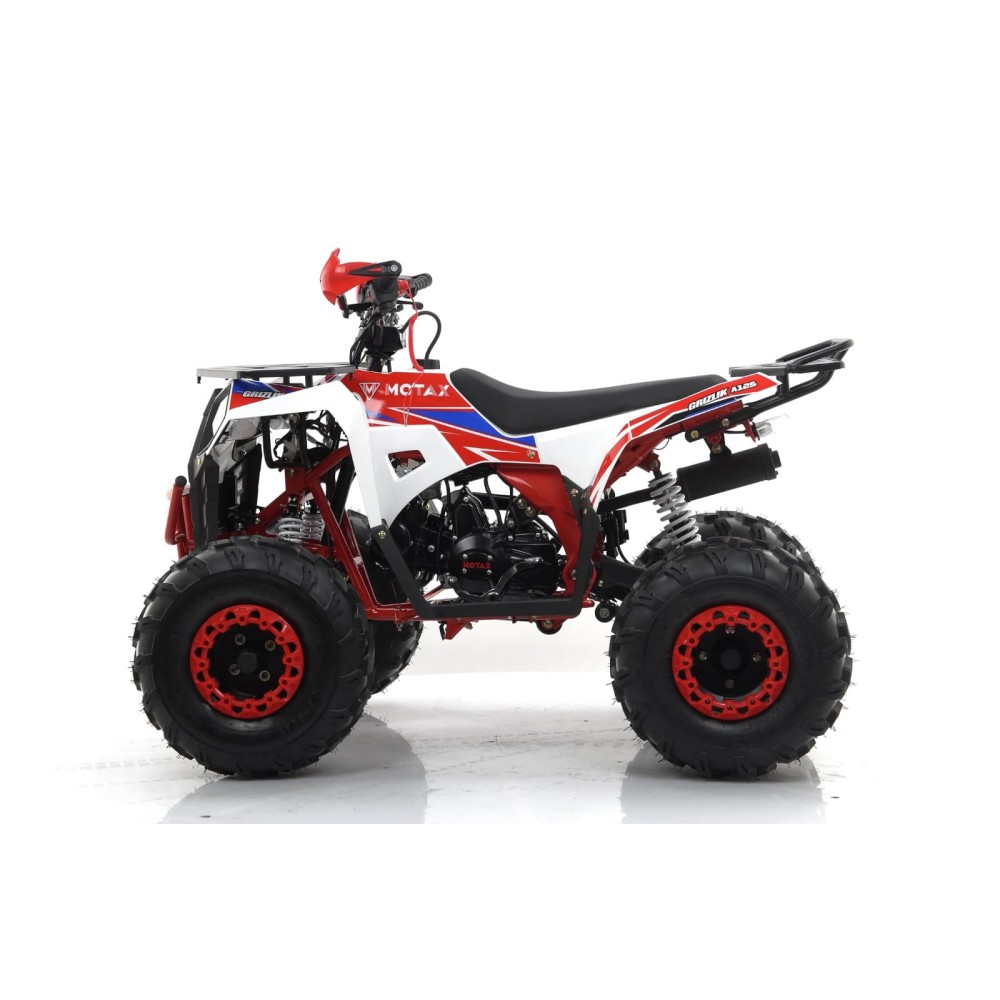 Квадроцикл MOTAX Grizlik A125