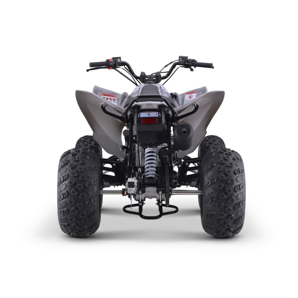 Квадроцикл SHARMAX Raizer Race Cup 250