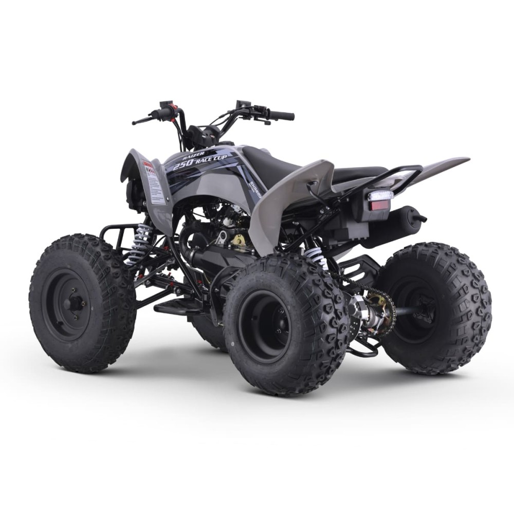 Квадроцикл SHARMAX Raizer Race Cup 250