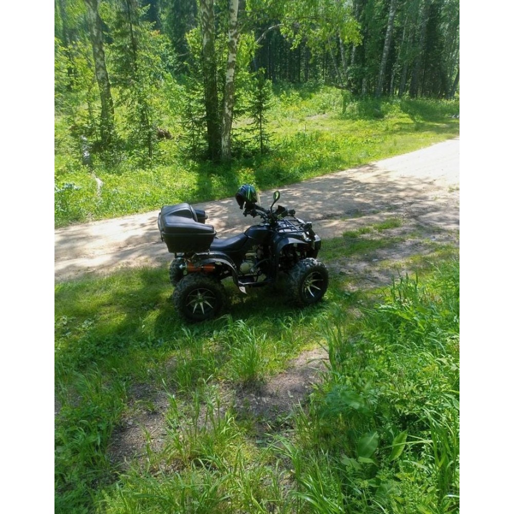 Квадроцикл GRIZZLY 250 Б/У