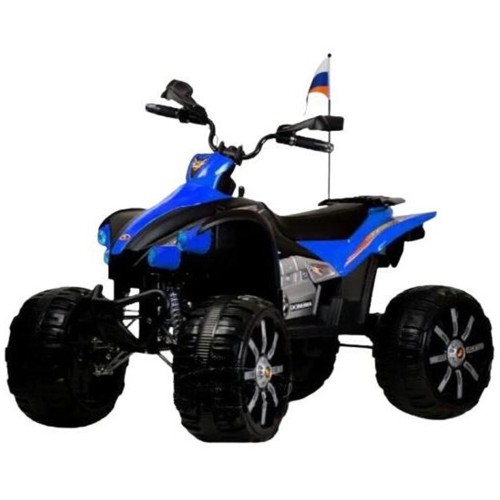 Электроквадроцикл RIVERTOYS P444PP
