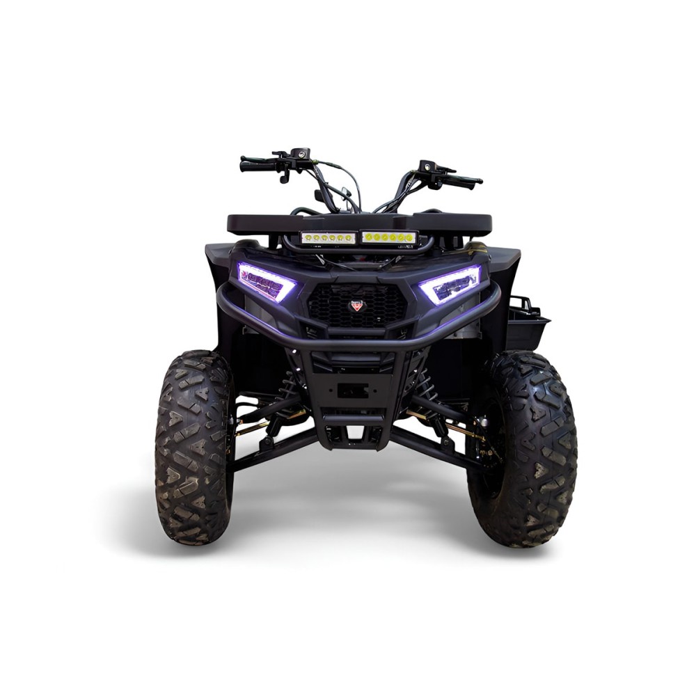 Квадроцикл MOTAX Grizlik W200