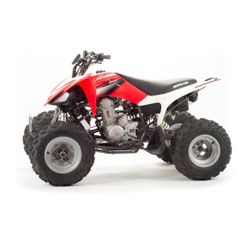 Квадроцикл MOTOLAND 250S