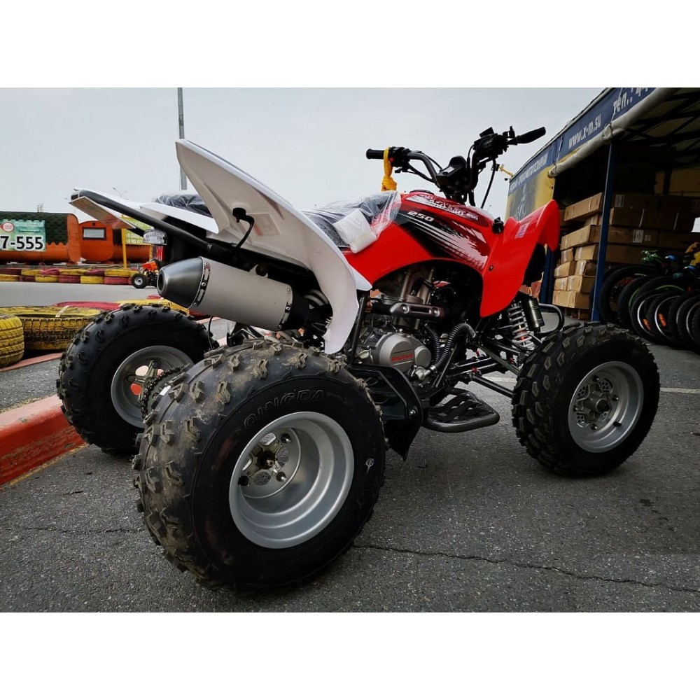 Квадроцикл MOTOLAND 250S Pro