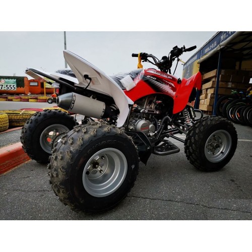 Квадроцикл MOTOLAND 250S Pro