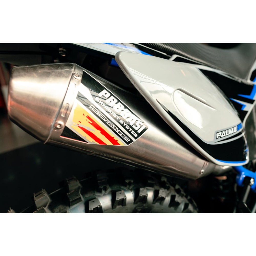 Мотоцикл кроссовый эндуро PROGASI Palma 300