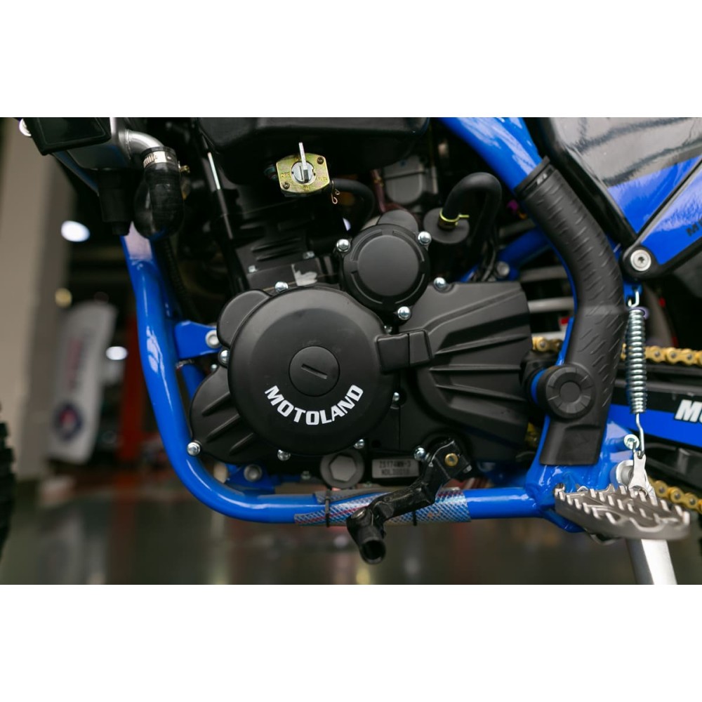 Мотоцикл кроссовый эндуро MOTOLAND FX300 (174MN-3)