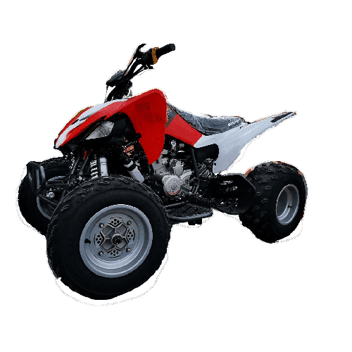 Квадроцикл MOTOLAND 250S Pro