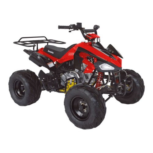 Квадроцикл ABM Scorpion 125A