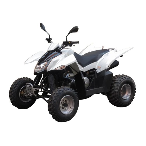 Квадроцикл SYM QuadRaider 300 SS