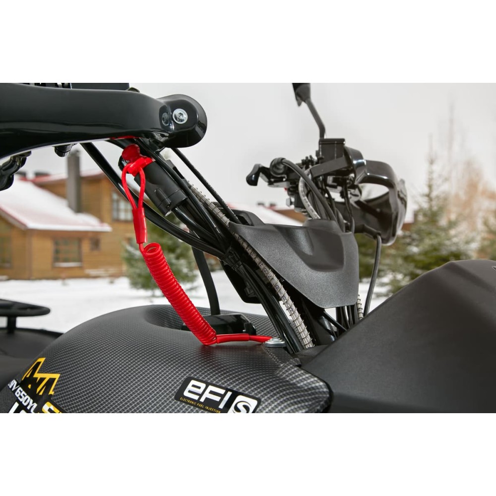 Квадроцикл STELS ATV 650 YS Leopard EFI (ПСМ)