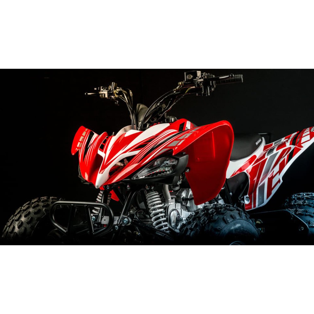 Квадроцикл MOTOLAND 250S