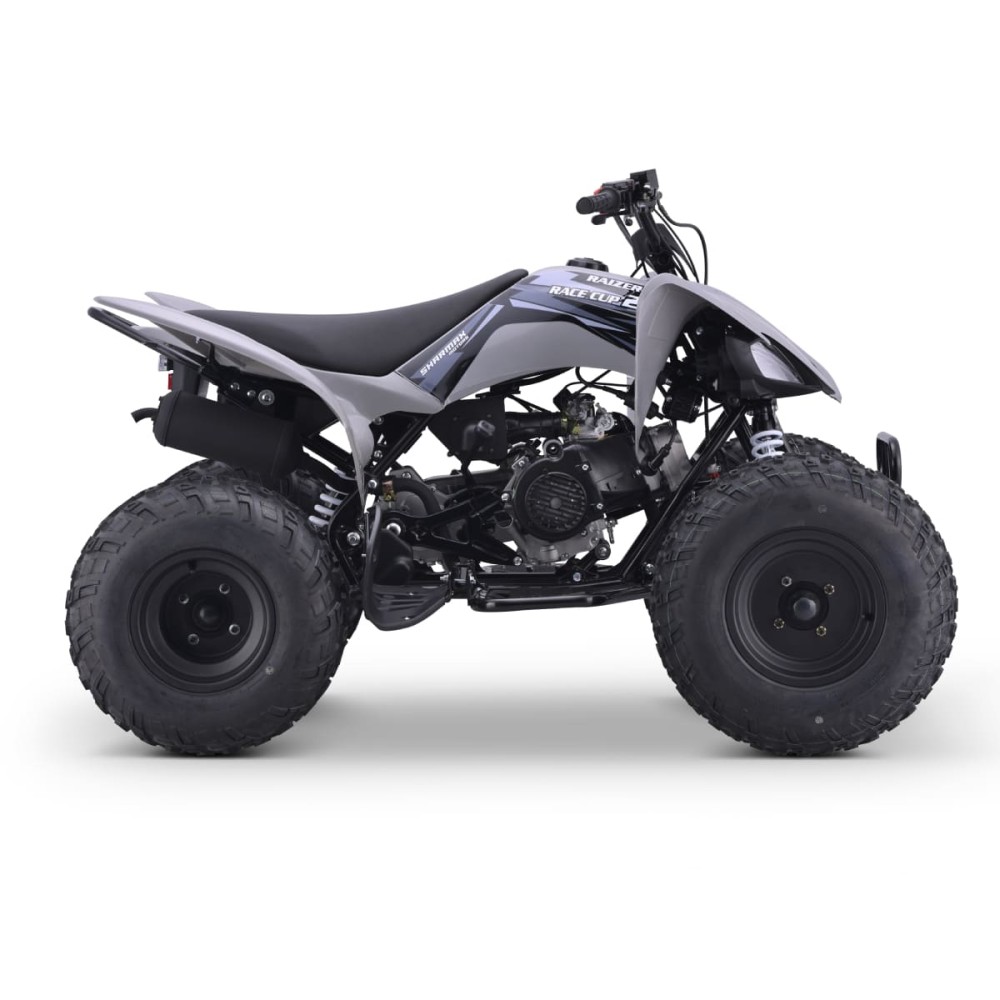 Квадроцикл SHARMAX Raizer Race Cup 250