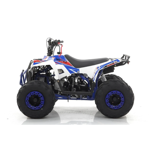 Квадроцикл MOTAX Grizlik A110