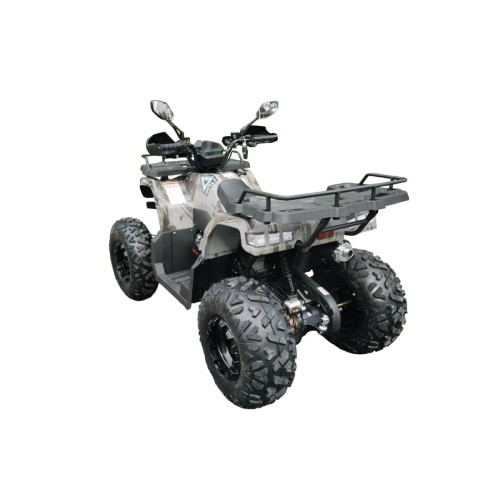 Квадроцикл MOTAX ATV Grizlik T200 Lux