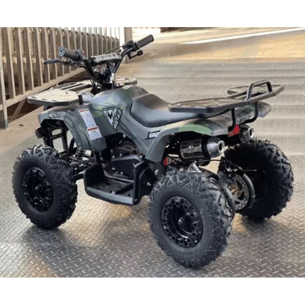Электроквадроцикл MOTAX GRIZLIK X16 NEW E1000 BW