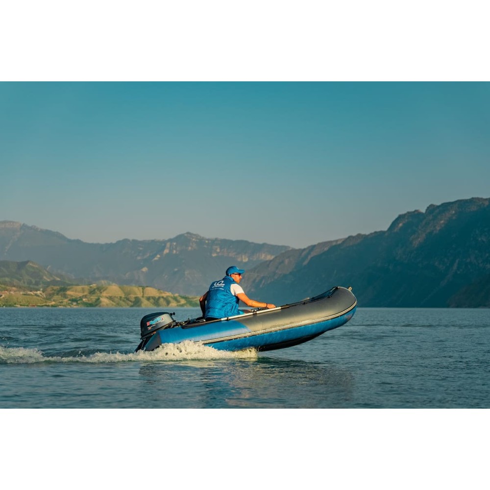 Лодка ПВХ ТРИТОН Plus 315