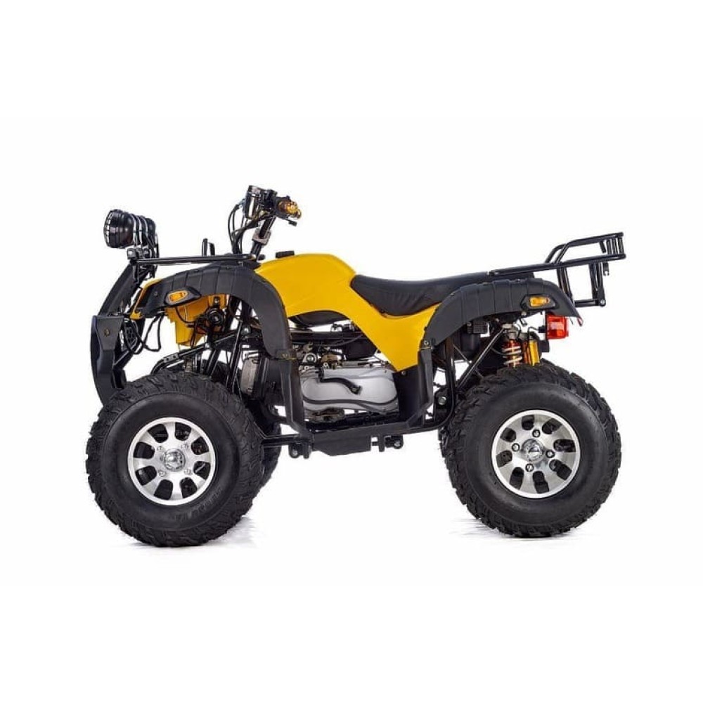 Квадроцикл RAPTOR Max Pro 250 (жёлтый/чёрный) (2024)
