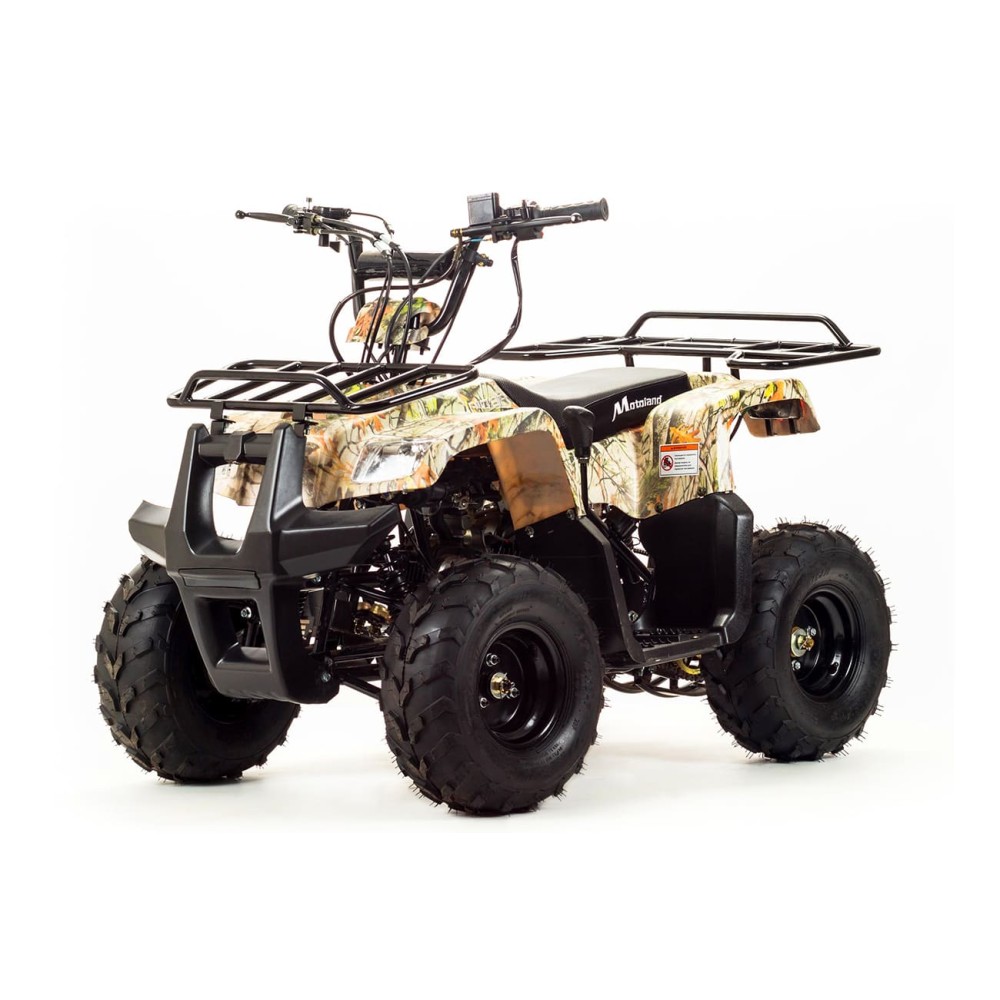 Квадроцикл MOTOLAND 110 Rider (2021 Г.)
