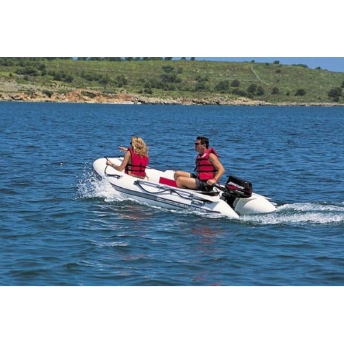 2х-тактный лодочный мотор MERCURY ME 6 M