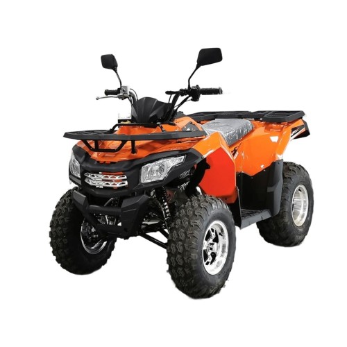Квадроцикл MOTOLAND ATV 200 MAX