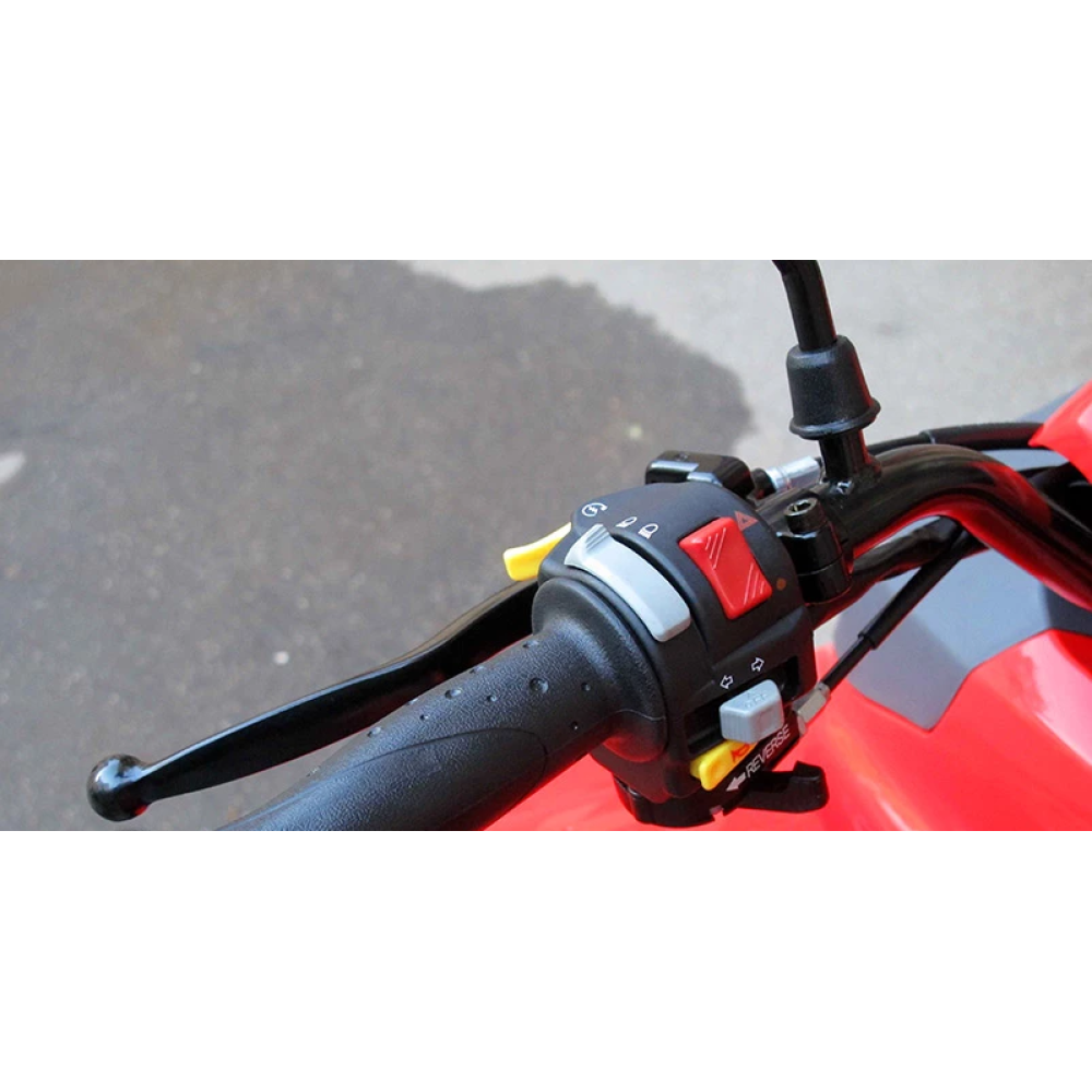 Квадроцикл ADLY 100