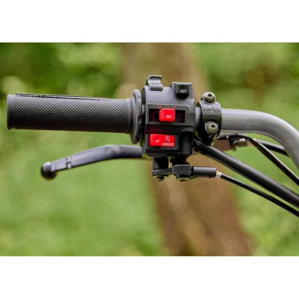 Квадроцикл SHARMAX Raizer Race Cup 250