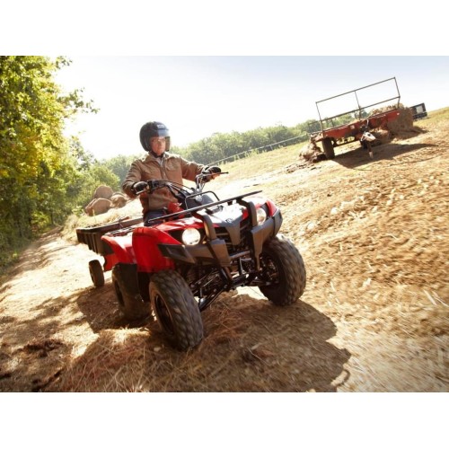 Квадроцикл YAMAHA Segway 300