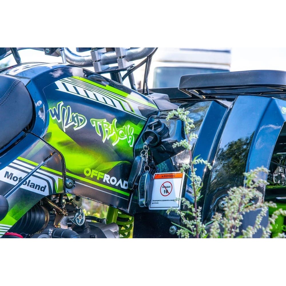 Квадроцикл MOTOLAND 200 Wild Track Lux ( Баланс. вал) (2021 Г.)