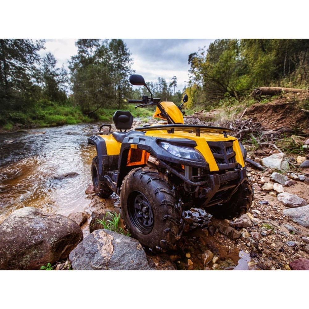 Квадроцикл РМ Рысь 500