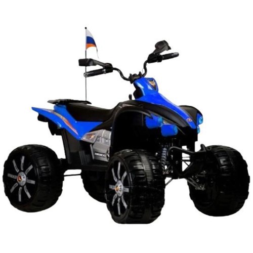 Электроквадроцикл RIVERTOYS P444PP