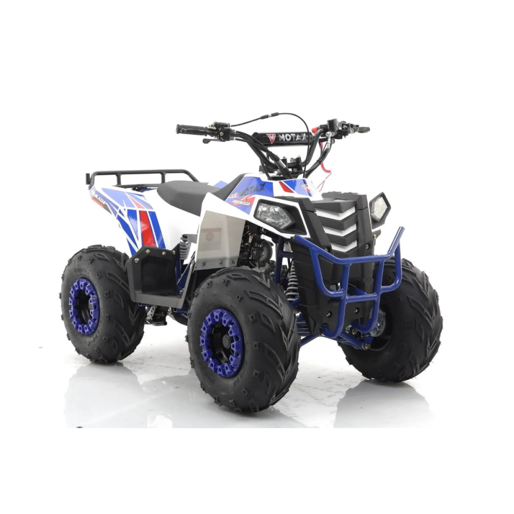 Квадроцикл MOTAX Grizlik A110