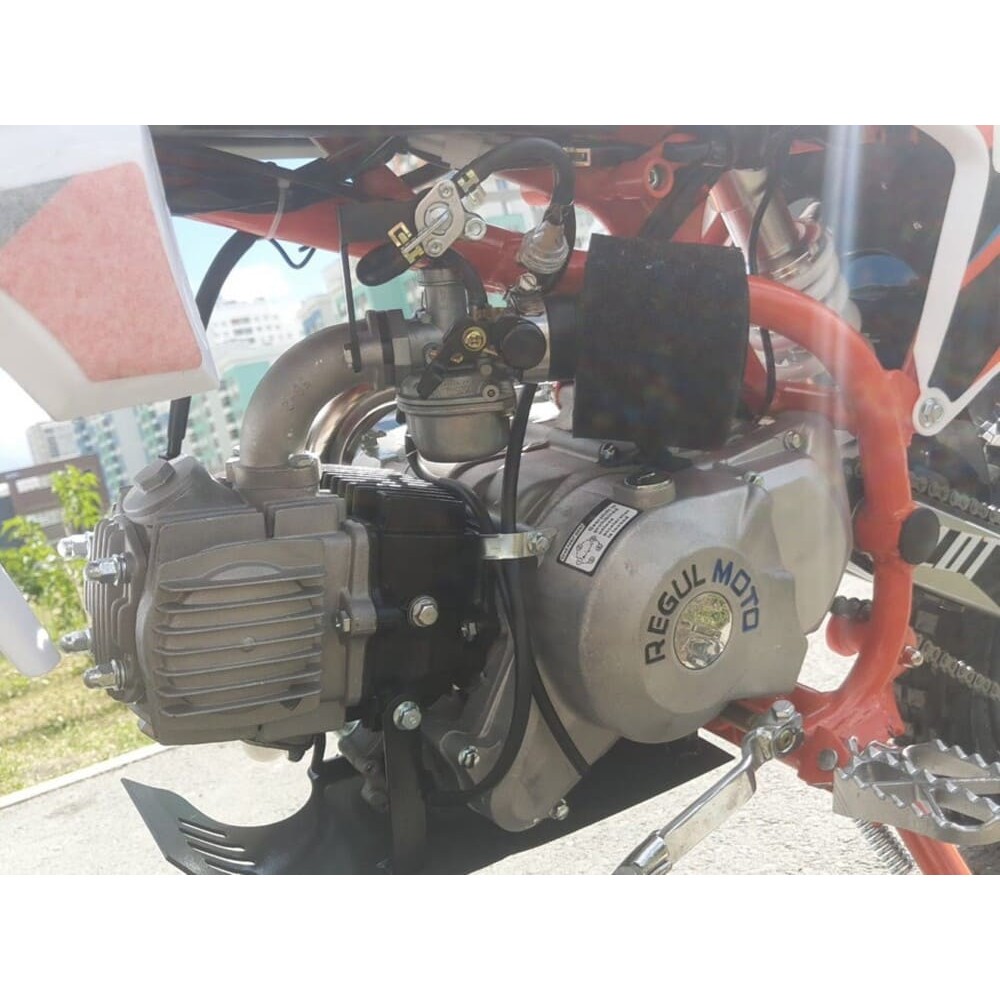 Мотоцикл REGULMOTO Pilot 110EA 14/12 PITBIKE