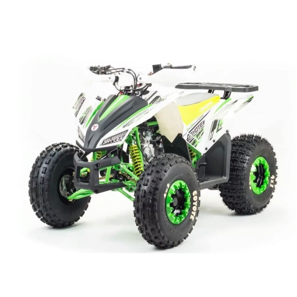 Квадроцикл MOTOLAND 125 Coyote (2021 Г.)