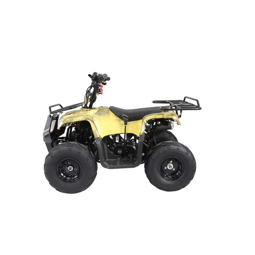 Квадроцикл ATV Atomik TT