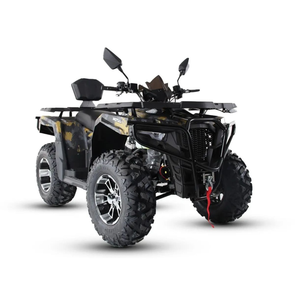 Квадроцикл MOTAX Grizlik 300