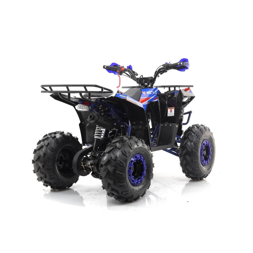 Квадроцикл MOTAX Grizlik A125