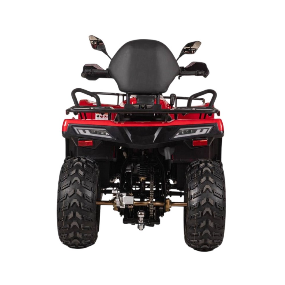 Квадроцикл BIZON YK250 Lux EFI