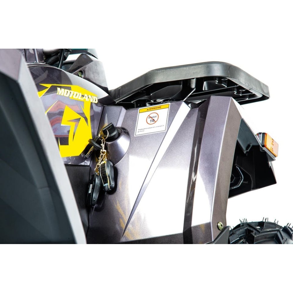 Квадроцикл MOTOLAND 200 Wild Track X Pro (2022)