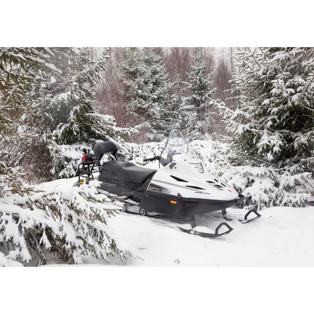 Снегоход РУССКАЯ МЕХАНИКА Тайга Варяг 550 V SE