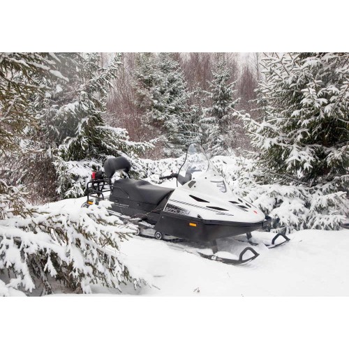 Снегоход РУССКАЯ МЕХАНИКА Тайга Варяг 550 V SE