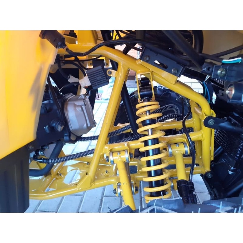 Квадроцикл MOTOLAND ATV 200 Wild Track