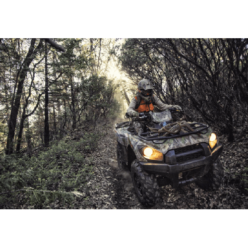 Квадроцикл BRUTE FORCE 750 4X4I EPS CAMO (ПСМ)