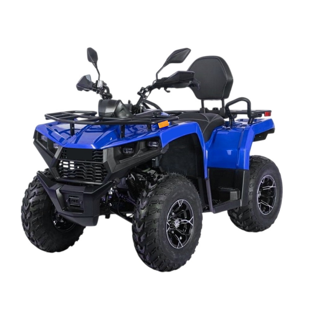 Квадроцикл BIZON YK250 Lux EFI